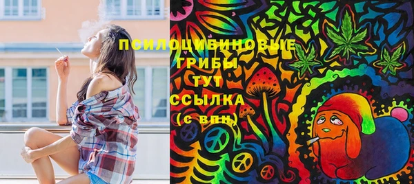 МДМА Алексеевка