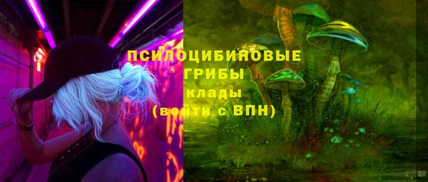 МДМА Алексеевка