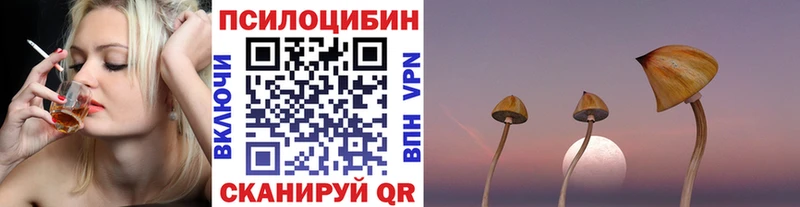 магазин наркотиков Новопавловск Псилоцибиновые грибы мицелий